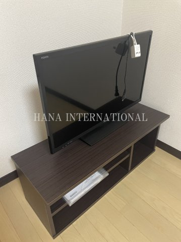 レオネクストリラのその他