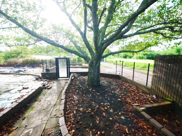 長生郡白子町南日当　中古戸建の庭|平成14年12月築 大理石調の玄関ホール リビング約25帖IHクッキングヒーター 駐車2台可