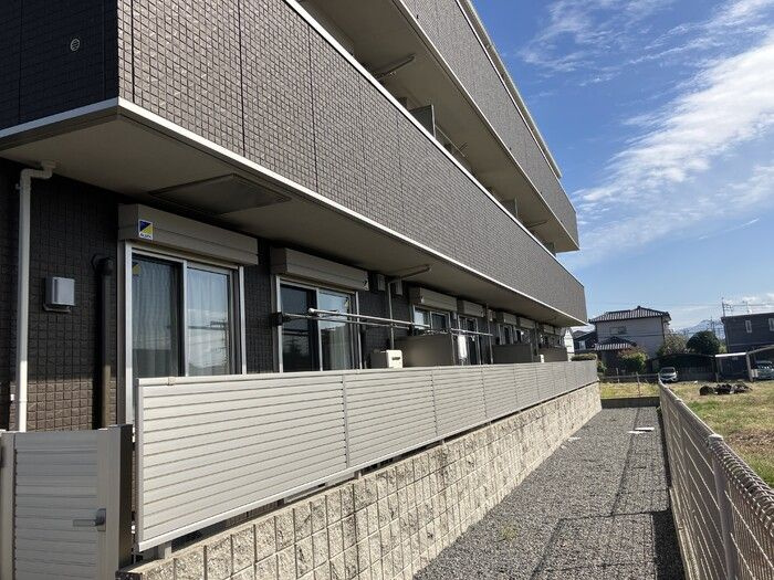 サンフラワー須屋