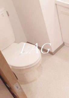 【トイレ】 | ＡＺＡＬＥＡ恋ヶ窪Ⅱ | トイレです。