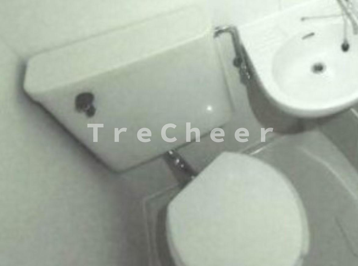 泉ハイツのトイレ