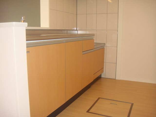 スプリング　ライトのキッチン|キッチン