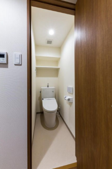 三郷市中央１丁目の賃貸マンションのトイレ