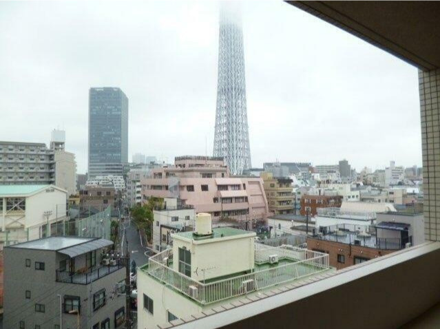 スカイコートパレス押上の展望