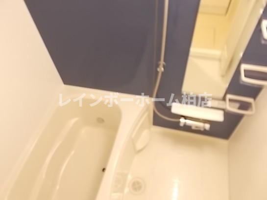 【仲介手数料：50％OFF】対象物件！の浴室|きれいなお風呂です
