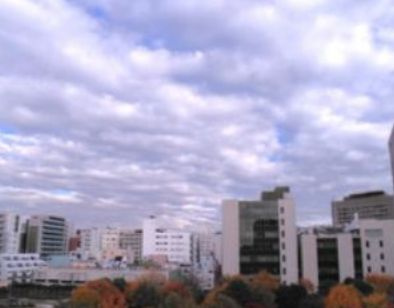 リヨンドール本郷の展望