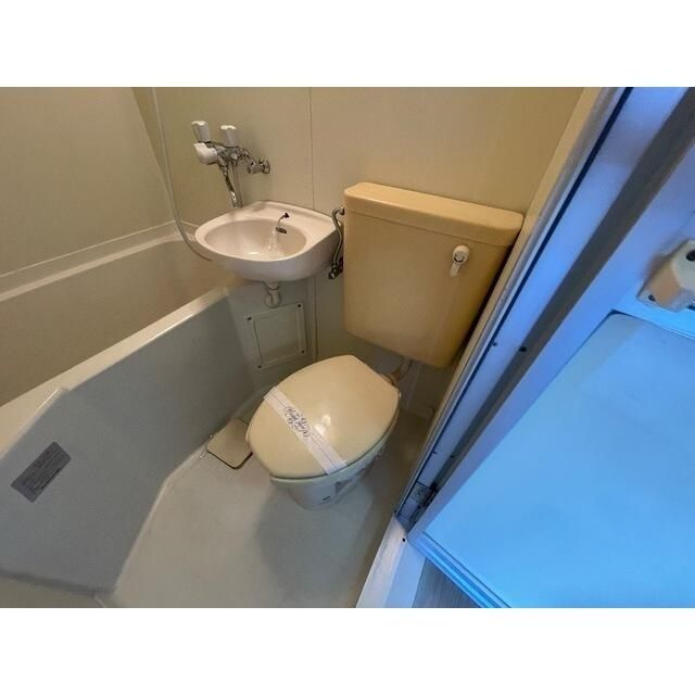 トレニアのトイレ