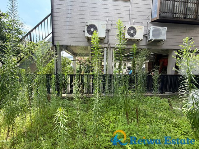 中古戸建　藤沢市羽鳥1丁目の庭