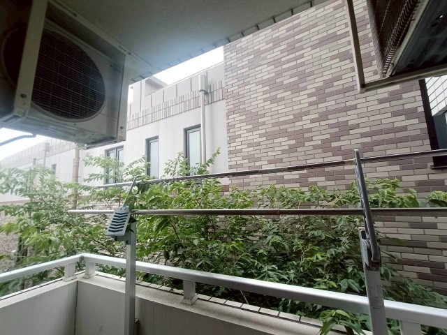 【展望】