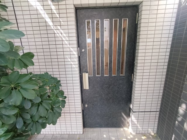 コンフォート杉