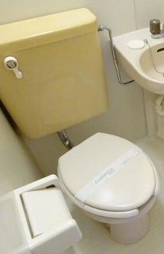 日興パレス横浜西のトイレ