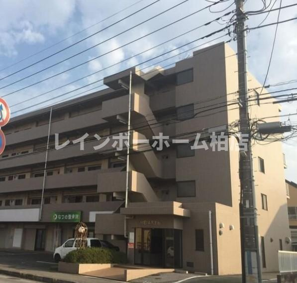 特典：仲介手数料が無料です!!のエントランス