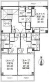 アンプルミエールの画像