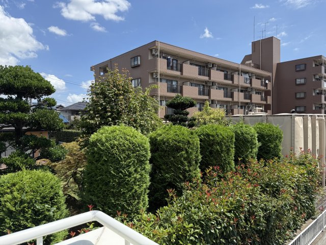【展望】 | イーストヒル