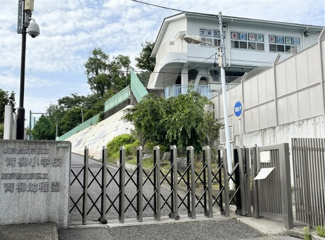 【周辺】 | 文京区大塚6丁目　新築戸建　13990万円 | 文京区立青柳小学校・幼稚園