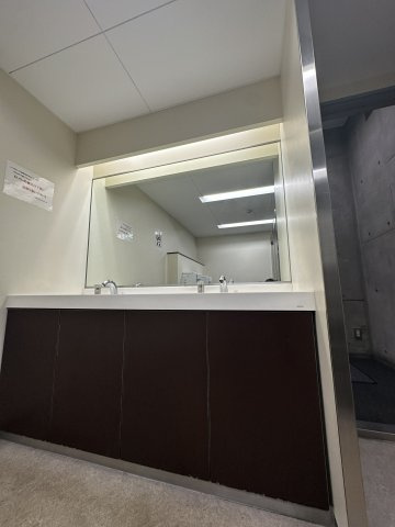 森之宮スカイガーデンハウスの独立洗面台