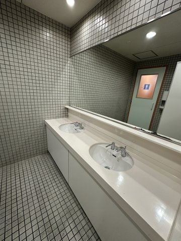 ダイアパレスビル本町の独立洗面台