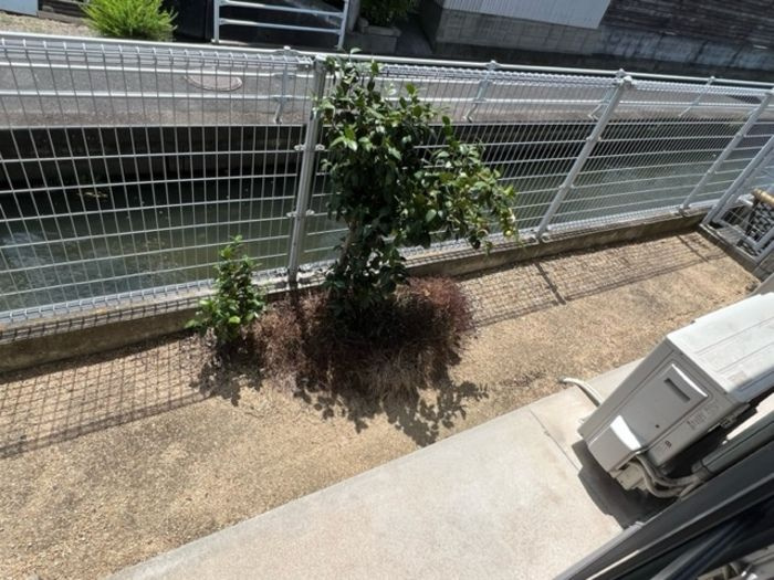 サンライズ北新保　B棟の庭