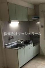 ガーデン上の台B棟のキッチン