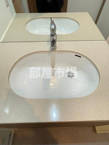 サンピエス根津の洗面所