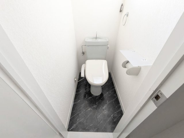 熊本市中央区島崎１丁目の賃貸マンションのトイレ|落ち着いたトイレです
