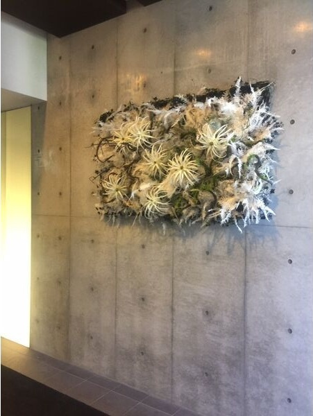 Y's GARDENのその他