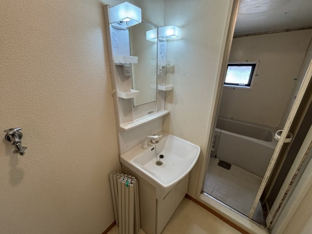 グリーンウェーブⅣの独立洗面台