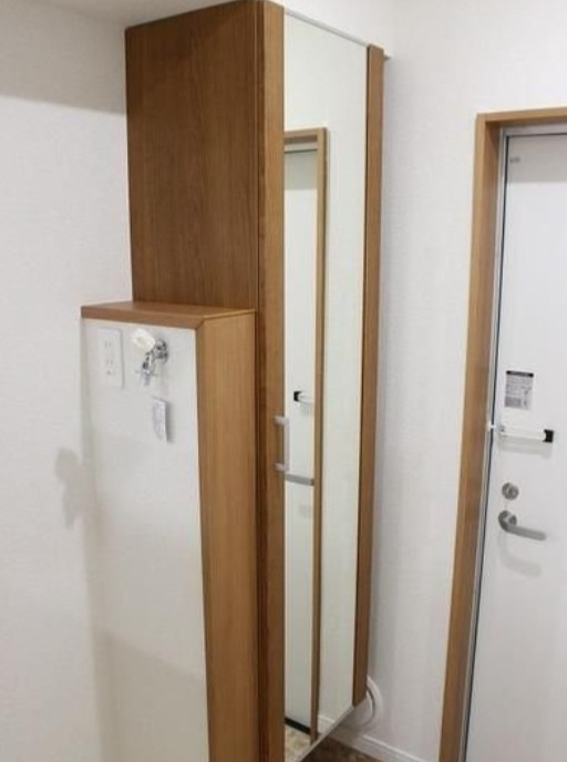 アネックス東川口の玄関