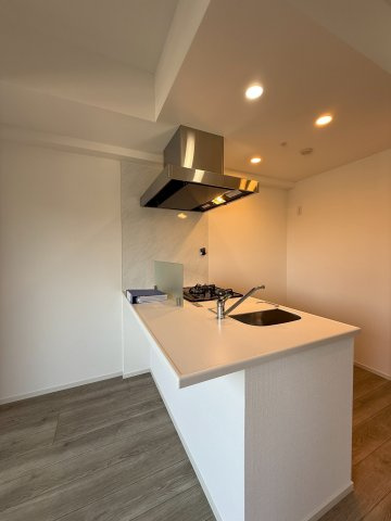 S-RESIDENCE桜本町awesome　名古屋市賃貸　仲介手数料無料のキッチン