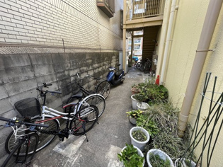 プチメゾン池田のその他