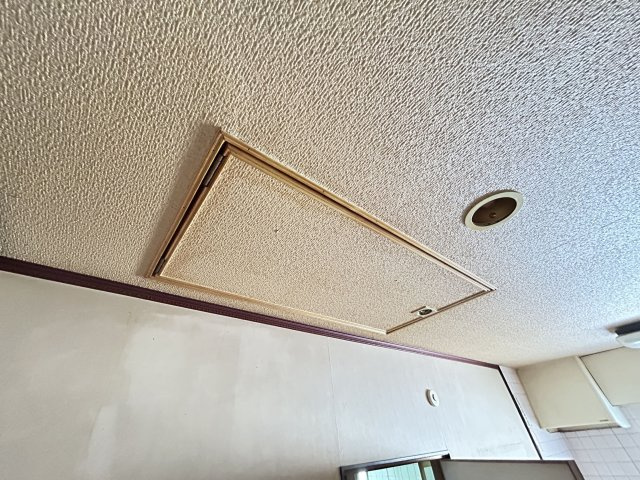 【収納】 | 恵比須町売家 | 季節物もすっきり収まる小屋裏収納！