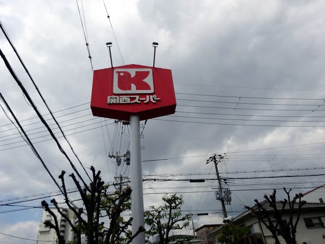 アルカディア西宮C棟の周辺