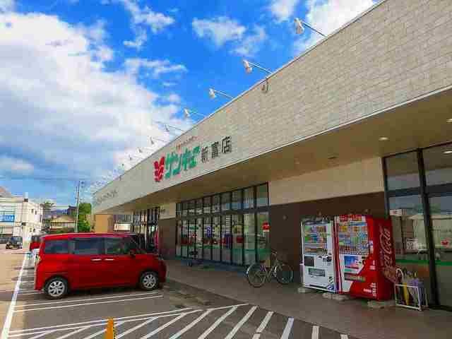 ショコラフレーズの周辺|サンキュー新富店まで900m