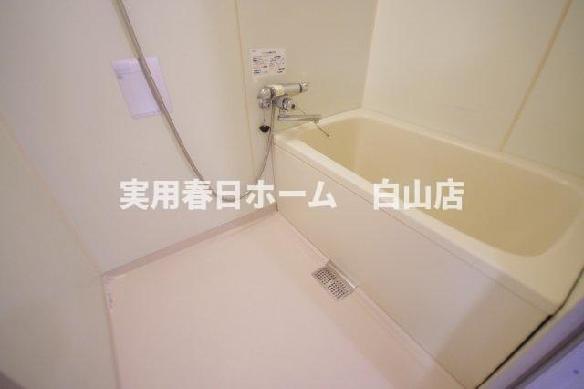 ＊2024年撮影