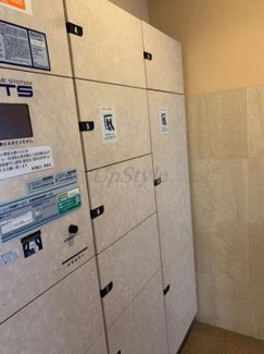 【その他共用部分】 | パレステュディオドルチェ本駒込