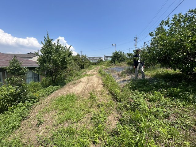 玉島柏島中古の庭