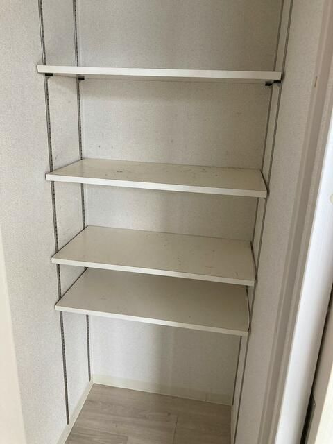 カラクムアチェリア の収納
