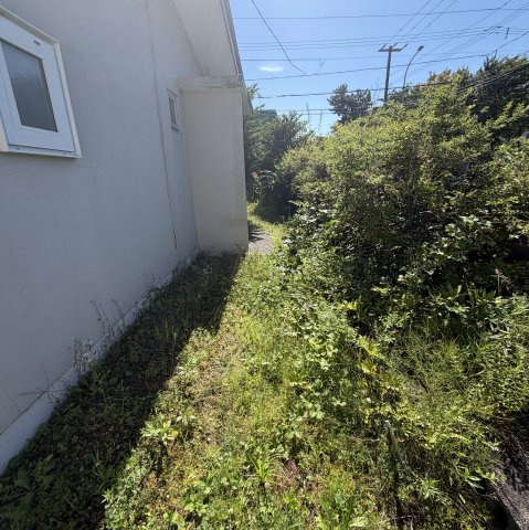 白老郡白老町萩野312-82戸建の庭