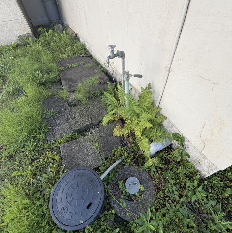 白老郡白老町萩野312-82戸建の庭