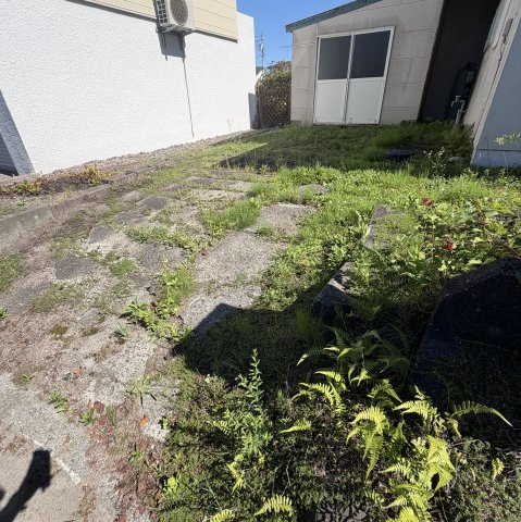 白老郡白老町萩野312-82戸建の庭