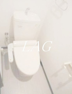 【トイレ】 | ＧＯＬＤ　ＦＯＲＥＳＴ東向島　 | トイレです。