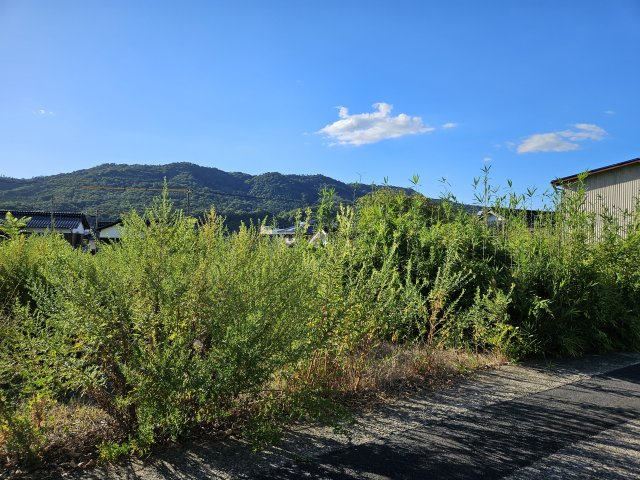八頭郡八頭町郡家土地の画像