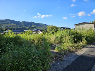  | 八頭郡八頭町郡家土地