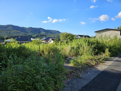  | 八頭郡八頭町郡家土地