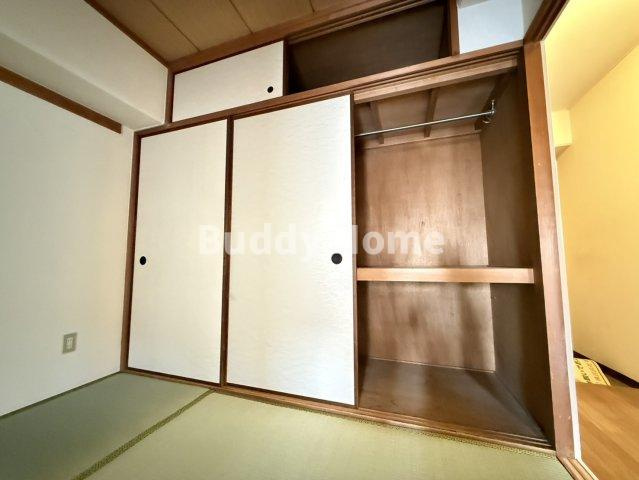 セントポーリア・アビコの収納