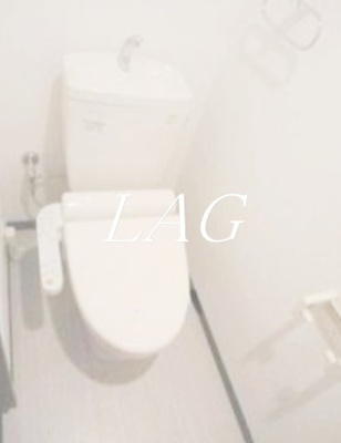 【トイレ】 | ＧＯＬＤ　ＦＯＲＥＳＴ東向島　 | トイレです。