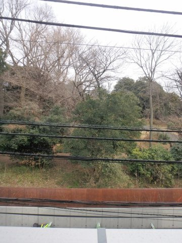 LEXE文京白山の展望