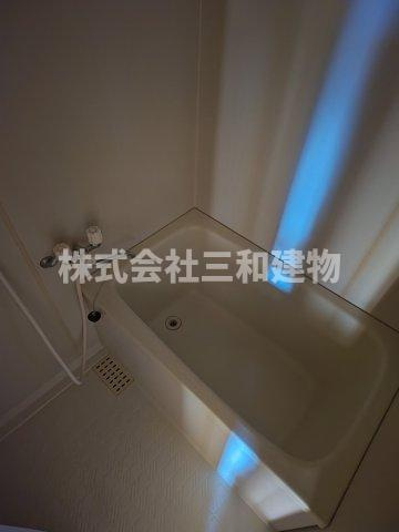 テラスパウロニアの浴室