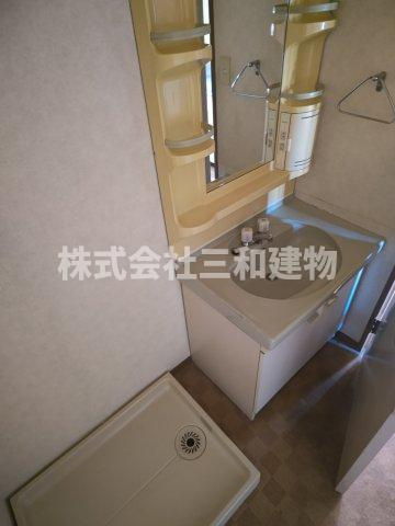 テラスパウロニアの洗面所