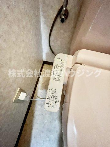 シェルコートのその他